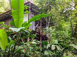 La Loma Jungle Lodge