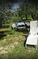 Agriturismo Il Truffarello