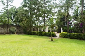 Palm World Hotel