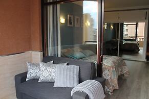 Palmeras Studio 88