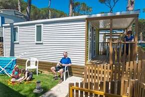 Camping Interpals