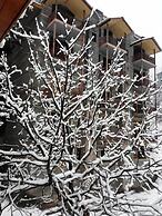 Regenta Inn By Riverside Manali