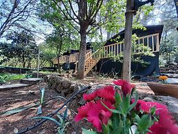 Altaris Bungalows Olympos