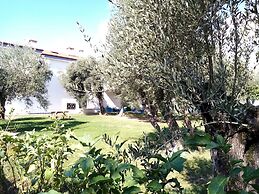 Yazduf Family Homes