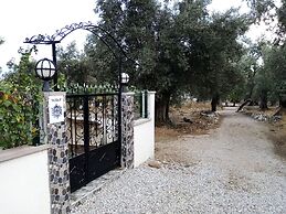 Yazduf Family Homes