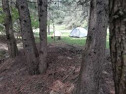 Casa Don Gil - Campsite