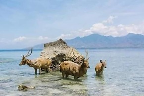 Rare Angon Homestay