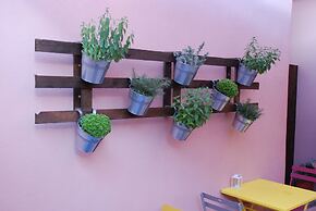 Camere Pula