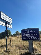 Une Odeur de Tilleul