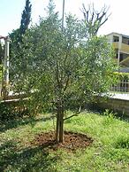 Apartment Klaudia