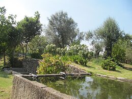 Quinta Eido Oliveira