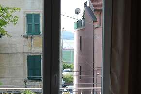 Le Coccole