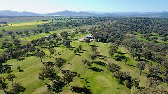 Quirindi Sunflower Motor Inn
