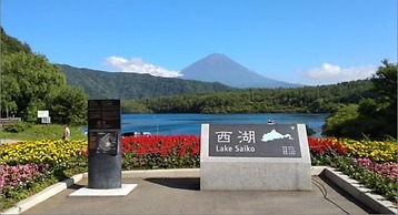 Sakura Fuji