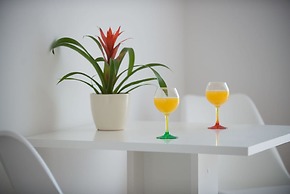 Apartments Horizon