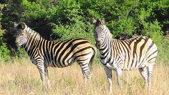 Elgro River Lodge