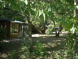 Camping Le Petit Lion - Lodges Bois