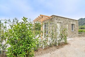 Tenuta C'est la Vie