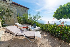 Tenuta C'est la Vie