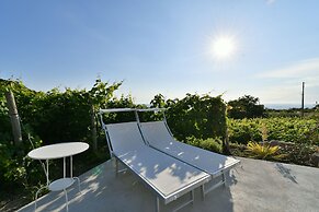 Tenuta C'est la Vie