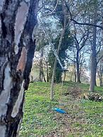 Poggio Roseto