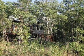 Miombo Safari Camp