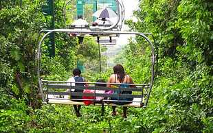 BamBoo Breeze Inn