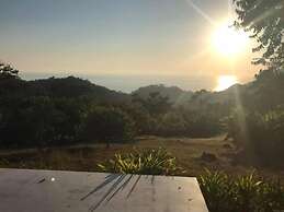 Royal Palm Villas