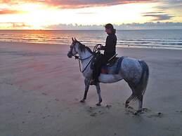 Het Zoete Peerd