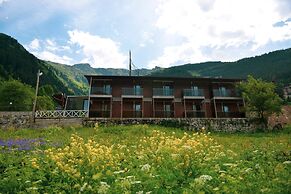 Monoir Suite