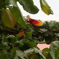 Los Susurros Casa