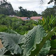 Los Susurros Casa