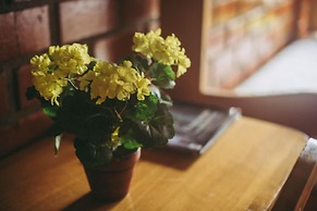 Posada Edelweiss