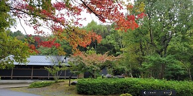 Tsukiyominoza
