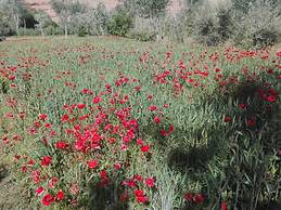 Kasbah Tasseurte