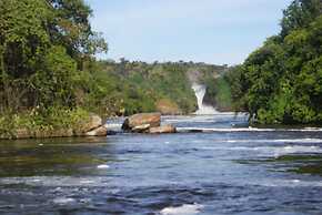 Pakuba Safari Lodge