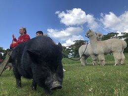 Northlands Farm & Lakes