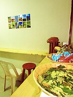The Grasshopper Hostels AV Alta