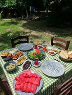 Mustafa'nin Fidan'i