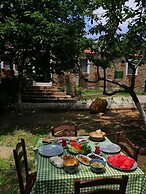 Mustafa'nin Fidan'i