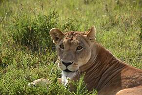 Masai Adventure Camp