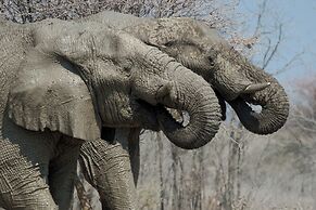 Etosha Mountain Lodge