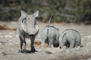 Etosha Mountain Lodge