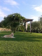 B&B Il Corbezzolo