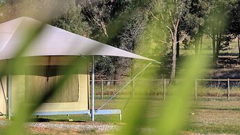 Dubbo Rhino Lodge