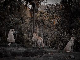Tranquil Resort - BluSalzz Collection, Wayanad