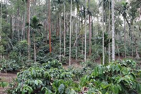 Tranquil Resort - BluSalzz Collection, Wayanad