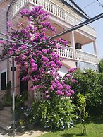 Apartments Plava Plaza Daniela