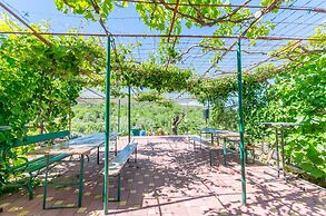 House Green Paradise