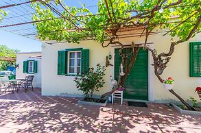 House Green Paradise